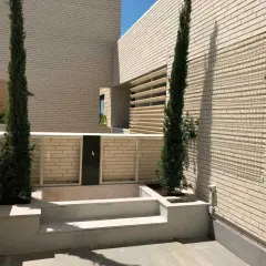 Un jardín moderno con cipreses y una fuente, un retranqueo ejemplo de diseño minimalista.
