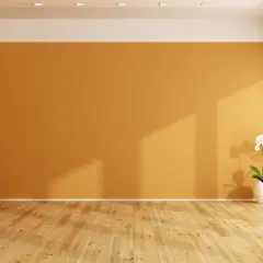 Habitación vacía con paredes de colores cálidos, suelo de madera y una orquídea blanca en una maceta.