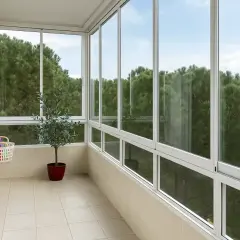 Un balcón cerrado con vistas a un bosque de pinos. Hay una planta de olivo en maceta y cestas de almacenamiento en la pared.