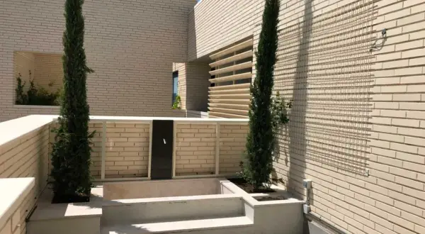Un jardín moderno con cipreses y una fuente, un retranqueo ejemplo de diseño minimalista.