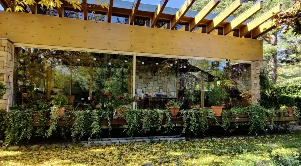 Edificio con cortinas de cristal inconvenientes, lleno de plantas y rodeado de hojas caídas.