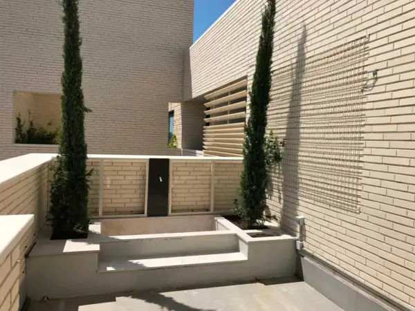 Un jardín moderno con cipreses y una fuente, un retranqueo ejemplo de diseño minimalista.